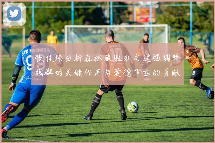 张佳玮分析森林狼胜利之道强调锋线群的关键作用与爱德华兹的贡献