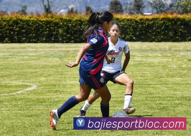 八戒足球体育发展历程