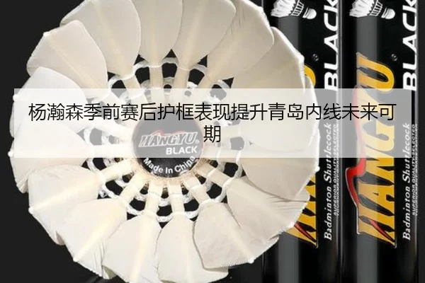 杨瀚森季前赛后护框表现提升青岛内线未来可期（BAJIESPORTS）